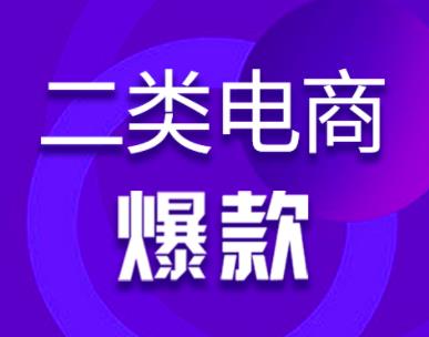 聊一个小众的电商项目——二类电商,类似1688无货源,但重广告投放。
