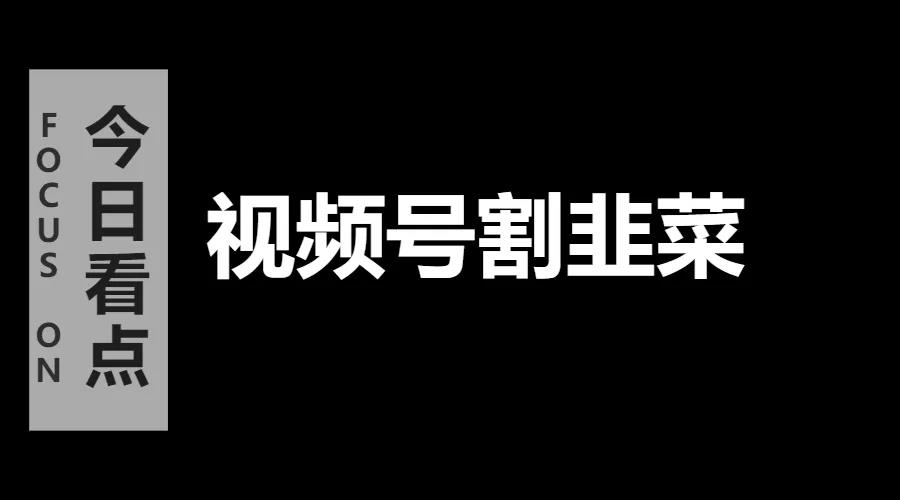 抖音培训没落,视频号割韭菜兴起,所以要不要花钱去学?会不会已经晚了