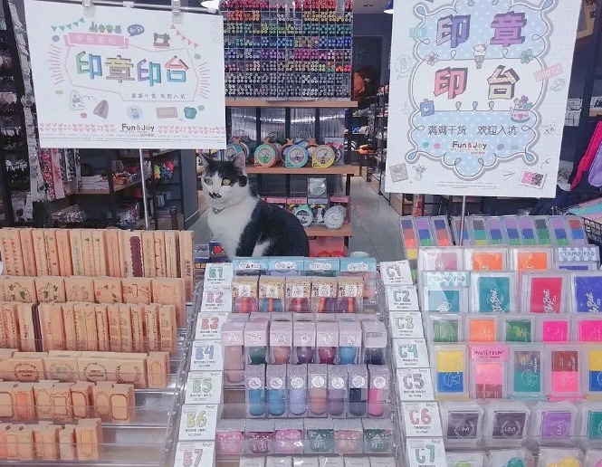 分享几个高利润的小成本的创业小项目,小本创业收益也不差