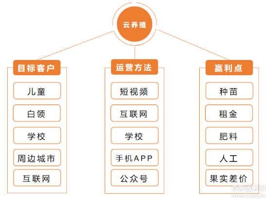 小成本的云种植创业项目,一个赚钱的小项目,投资较少